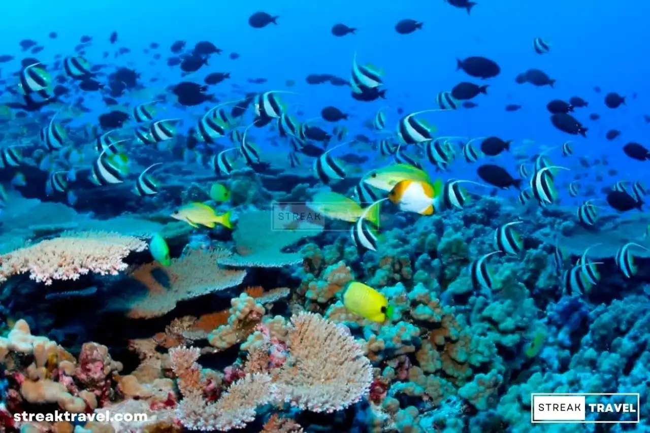 Sainte Anne Marine National Park